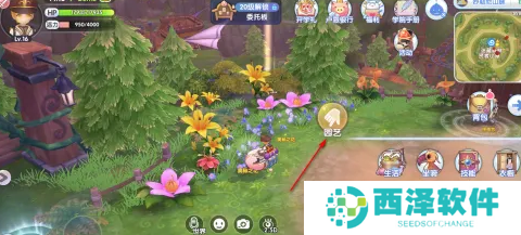 仙境传说新启航奥秘之花如何获得
