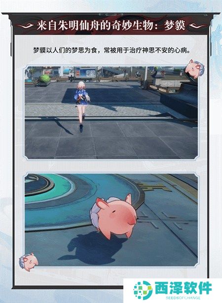 崩坏:星穹铁道2.5版本将于9月10日更新,十连+1000星琼免费领取!