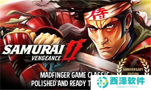 武士2复仇中文版