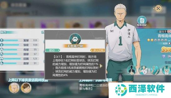 排球少年新的征程青根高伸强度怎么样