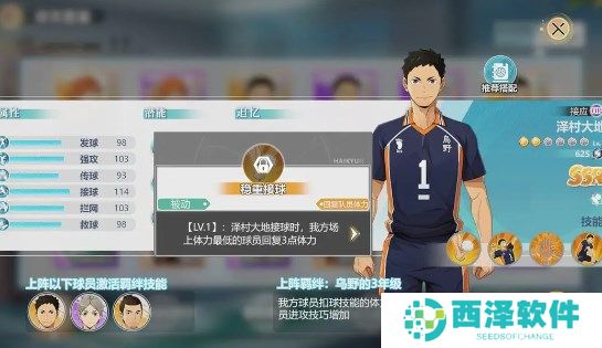 排球少年新的征程泽村大地强度解析