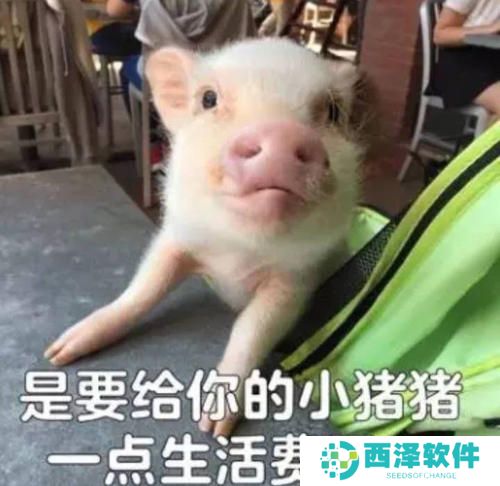 天冷了不想努力了想把自己卖了换点生活费表情包大全分享