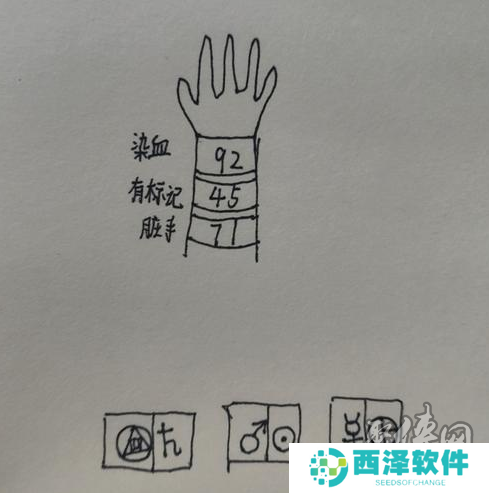 寂静岭2重制版速通必备密码答案 各谜题密码汇总