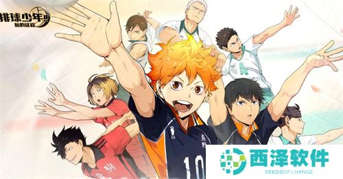 排球少年新的征程国服角色PVP强度榜