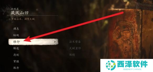 黑神话悟空怎么换法术技能 黑神话悟空怎么换法术技能