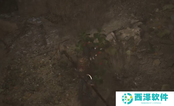 黑神话悟空火铃草种子在哪得