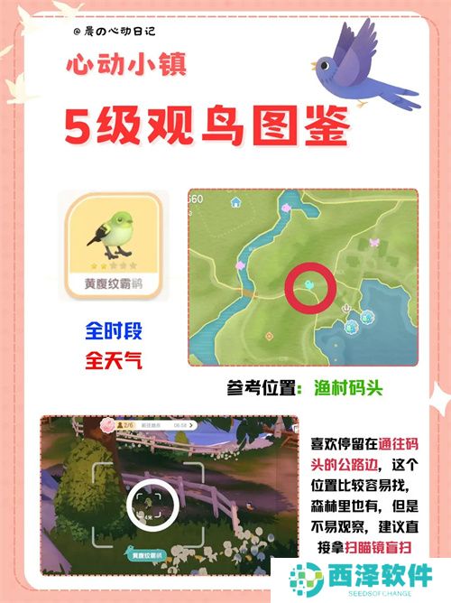 心动小镇五级观鸟详细位置整理一览