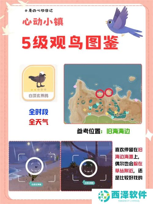 心动小镇五级观鸟详细位置整理一览