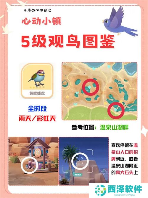 心动小镇五级观鸟详细位置整理一览