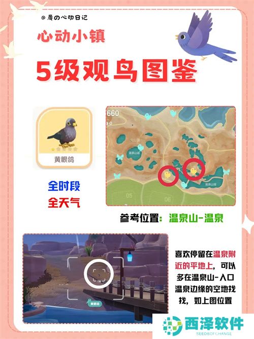 心动小镇五级观鸟详细位置整理一览