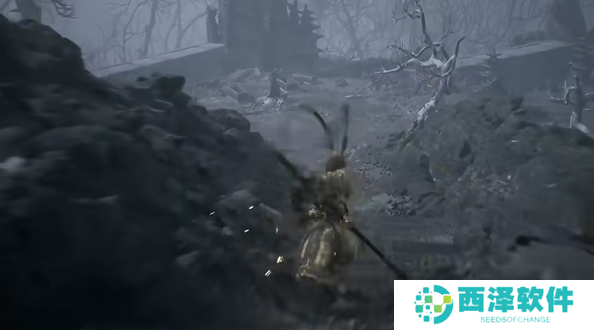 黑神话悟空火铃草种子在哪得