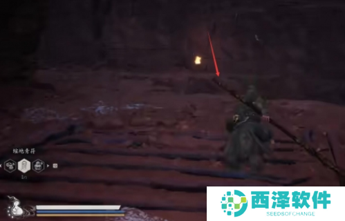 黑神话悟空耐雪枝在哪得