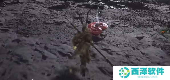 黑神话悟空九叶灵芝草种子怎么获得