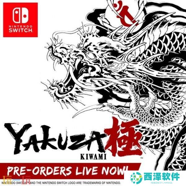 《如龙:极》将会推出Switch实体版数字版开放预购