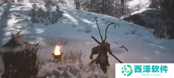 黑神话悟空火铃草种子在哪得