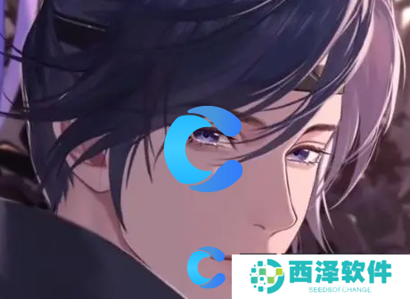 如鸢密探好感度提升攻略