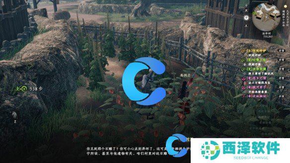 下一站江湖2法华村密藏解密教程 下一站江湖2法华村密藏解密教程