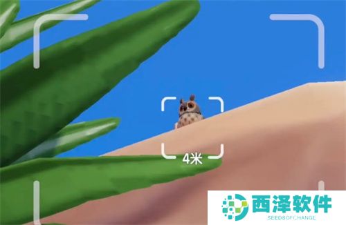 心动小镇观鸟图鉴稀有鸟类收集全攻略