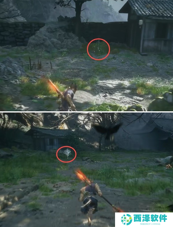 黑神话悟空漱玉花种子怎么获得