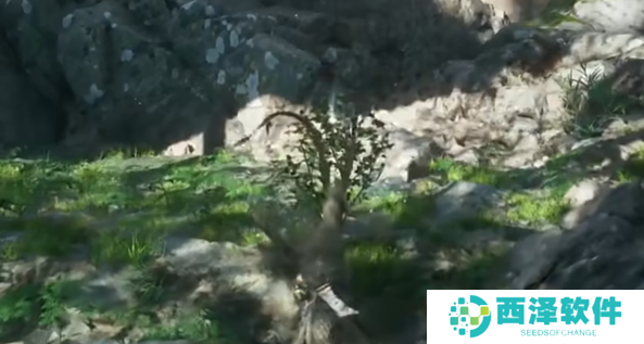 黑神话悟空漱玉花种子怎么获得