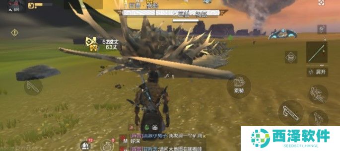 《妄想山海》宠物进化升级攻略