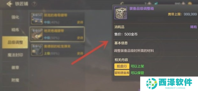 地下城与勇士起源装备品级调整箱怎么用 地下城与勇士起源装备品级调整箱怎么用