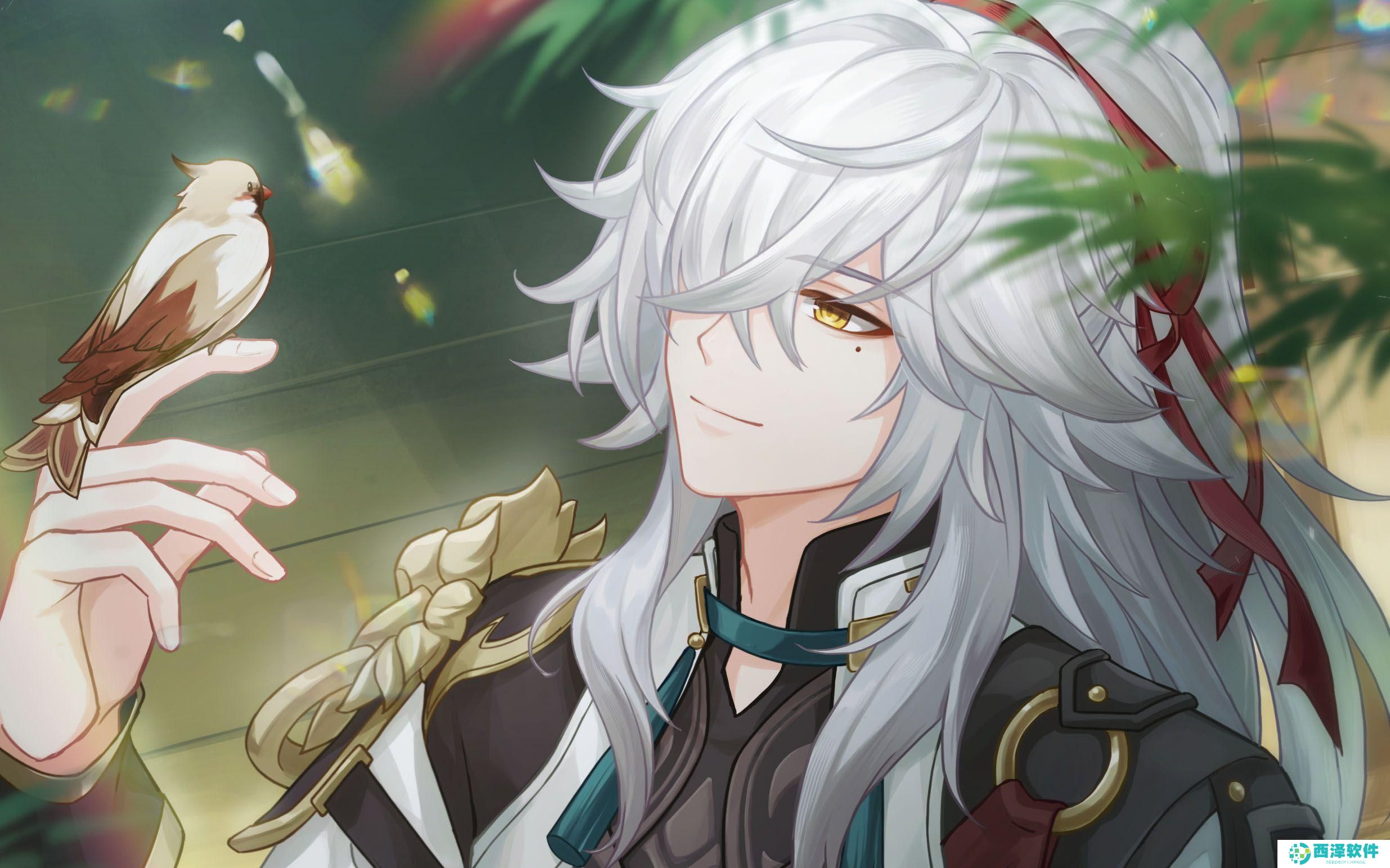 崩坏星穹铁道花火2.0怎么配队 崩坏星穹铁道花火2.0怎么配队