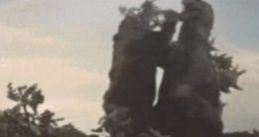 形容核酸检测的表情包分享