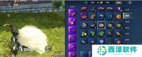 《妄想山海》瓜皮炒蛋食谱制作方法介绍