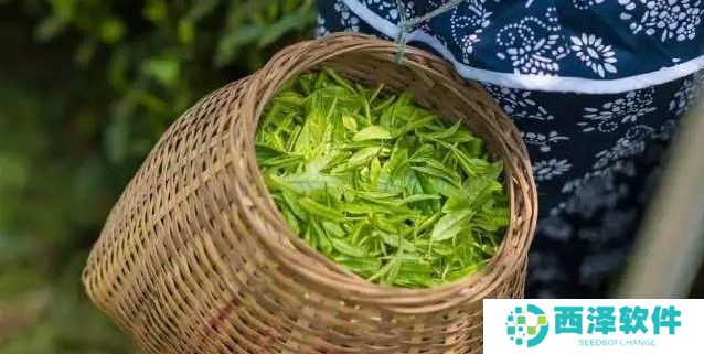 2021《支付宝》1月12日每日一题答案（2）