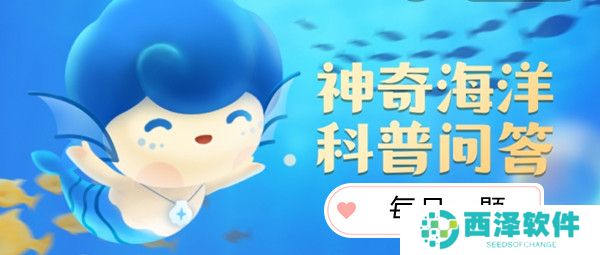 下列哪种海胆有“烟嘴海胆”的美称