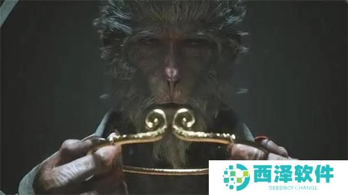 黑神话悟空是单机还是网游 黑神话悟空是单机还是网游