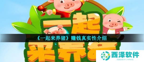 《一起来养猪》赚钱真实性介绍