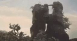 形容核酸检测的表情包分享