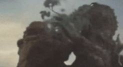 形容核酸检测的表情包分享