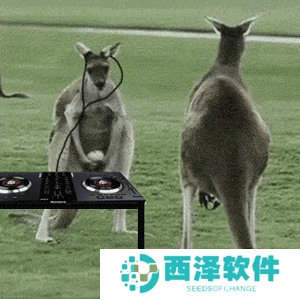 袋鼠摇手GIF表情包大全分享