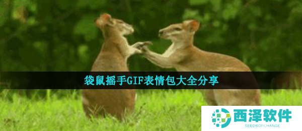 袋鼠摇手GIF表情包大全分享
