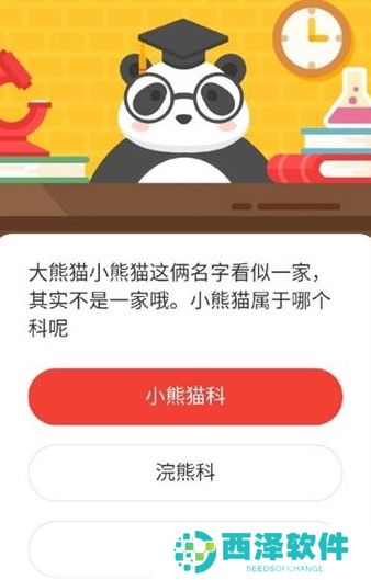 2021《微博》1月11日森林驿站每日一题答案