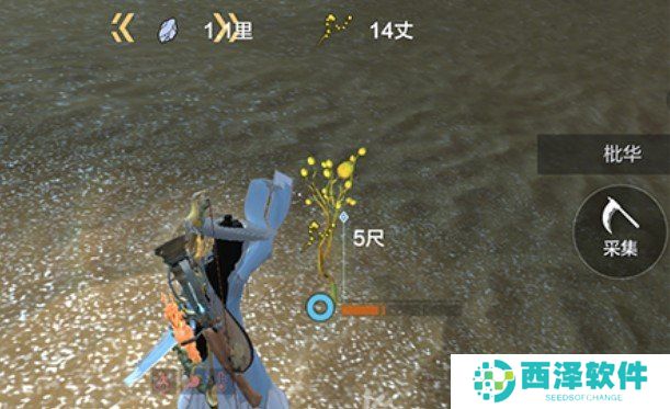 《妄想山海》枇华草采集位置一览