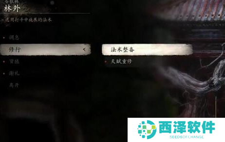 黑神话悟空加点怎么重置