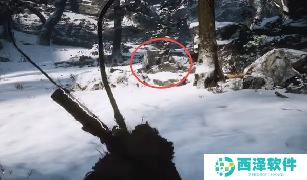 黑神话悟空龙胆种子在哪得