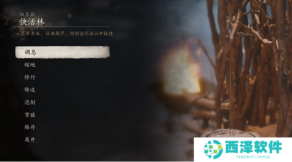 黑神话悟空碧藕种子怎么获得 黑神话悟空碧藕种子怎么获得