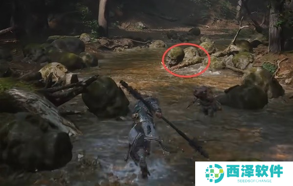 黑神话悟空碧藕种子怎么获得 黑神话悟空碧藕种子怎么获得