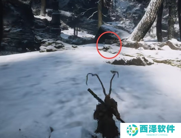 黑神话悟空龙胆种子在哪得