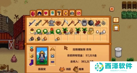 星露谷物语物品栏怎么扩充 星露谷物语物品栏怎么扩充