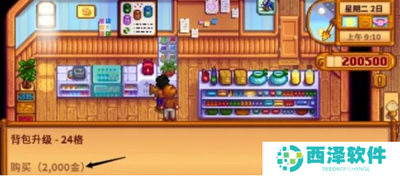 星露谷物语物品栏怎么扩充 星露谷物语物品栏怎么扩充