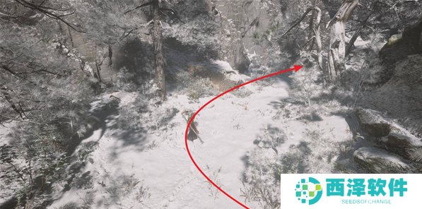 黑神话悟空不能精魄如何获取