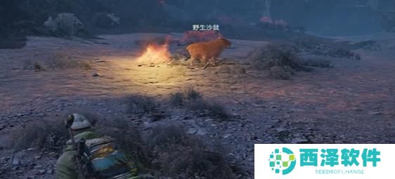 破碎之地初始坐骑怎么获得 破碎之地初始坐骑怎么获得