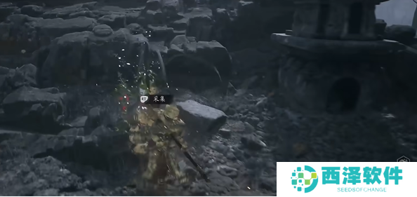 黑神话悟空碧藕种子怎么获得 黑神话悟空碧藕种子怎么获得