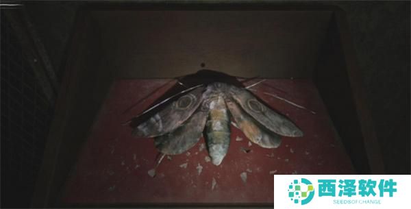 寂静岭2重制版M屋子飞蛾谜题的答案是什么